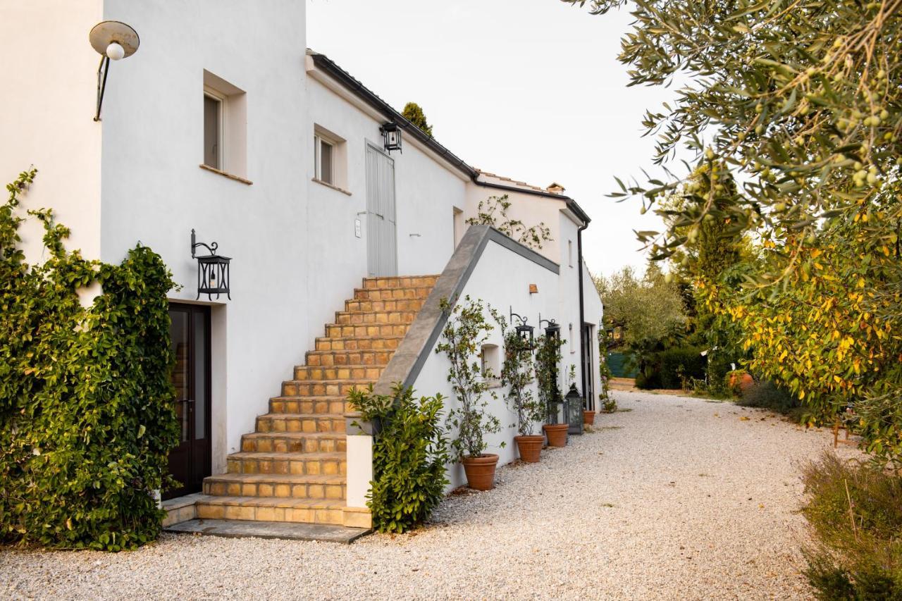 Casale Delle Lavande 치타 산트  안젤로 외부 사진