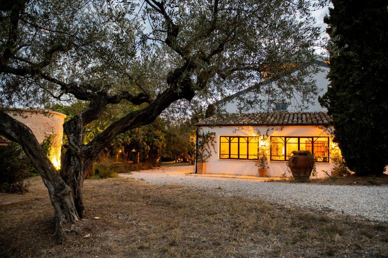 Casale Delle Lavande 치타 산트  안젤로 외부 사진