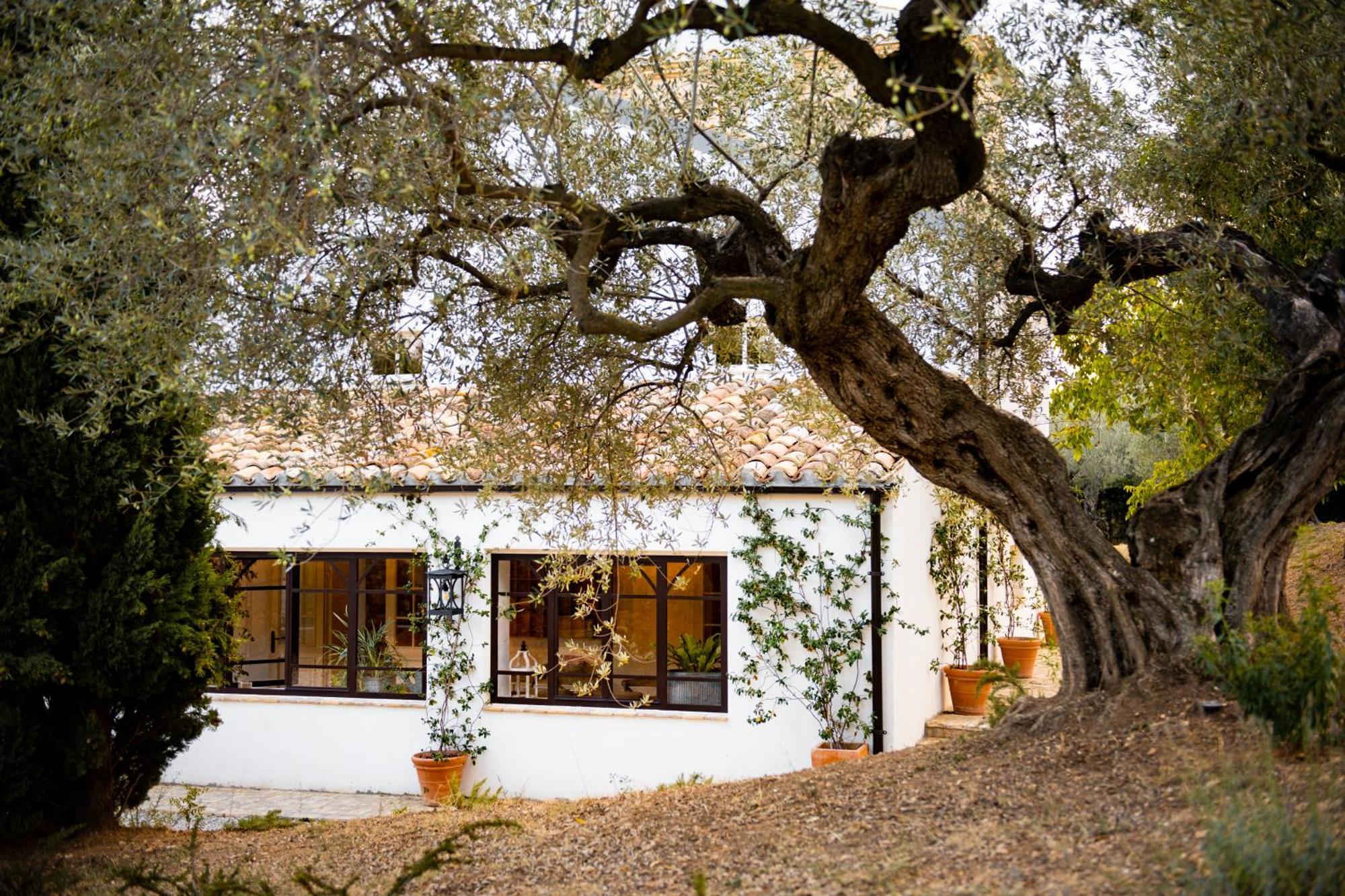 Casale Delle Lavande 치타 산트  안젤로 외부 사진